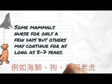 將影片載入圖庫檢視器並播放,美國原裝 HyperIg® PL-100高效免疫營養粉140g